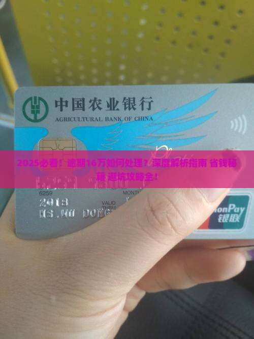 360借条逾期16万应该怎么办