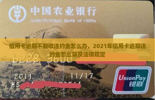 信用卡逾期不能收违约金怎么办