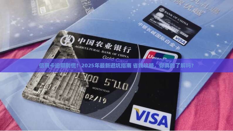 信用卡逾期处理规定最新解读