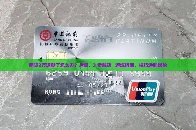 网贷2万逾期了怎么办