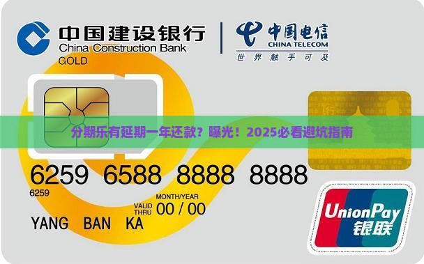 分期乐有延期一年还款没有怎么办