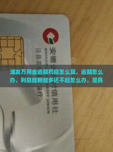 浦发万用金逾期罚息怎么算