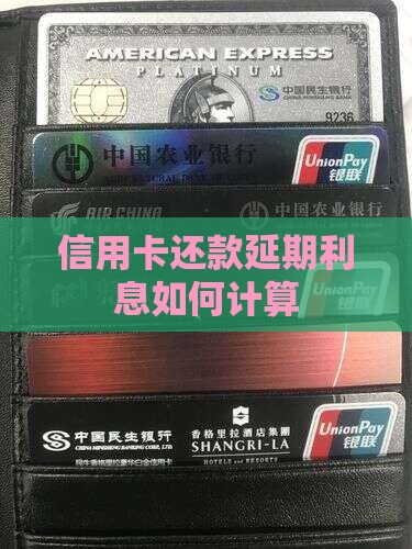 信用卡还款延期利息如何计算