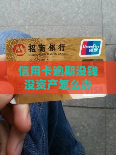 信用卡逾期没钱没资产