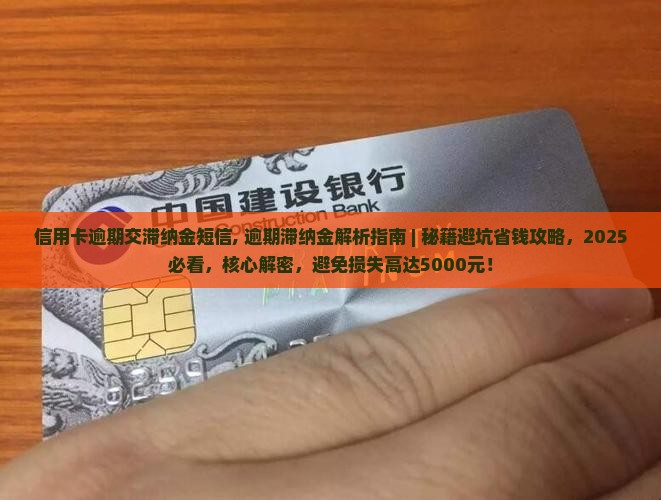 信用卡逾期交滞纳金短信
