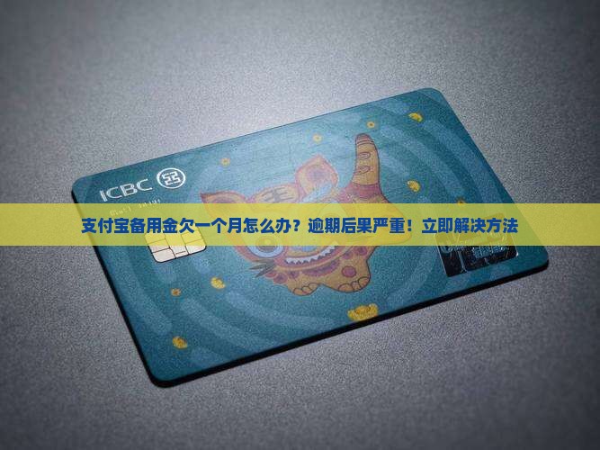 支付宝备用金欠一个月怎么办