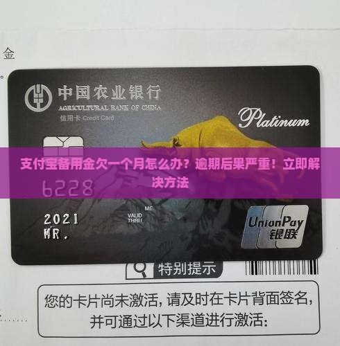 支付宝备用金欠一个月怎么办