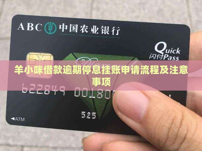 羊小咪借款逾期停息挂账申请流程