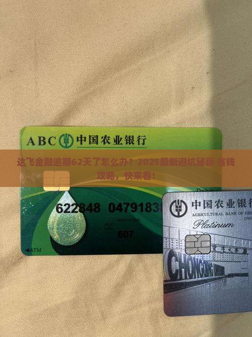 达飞金融逾期62天了怎么办