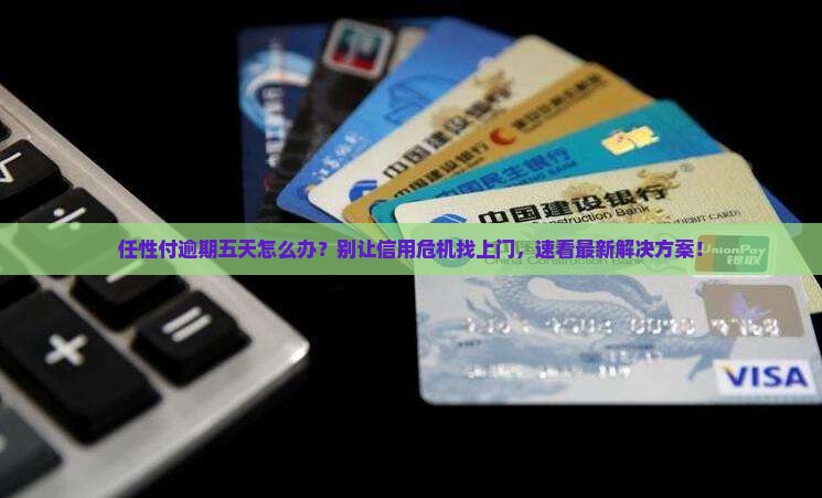 任性付逾期五天如何处理
