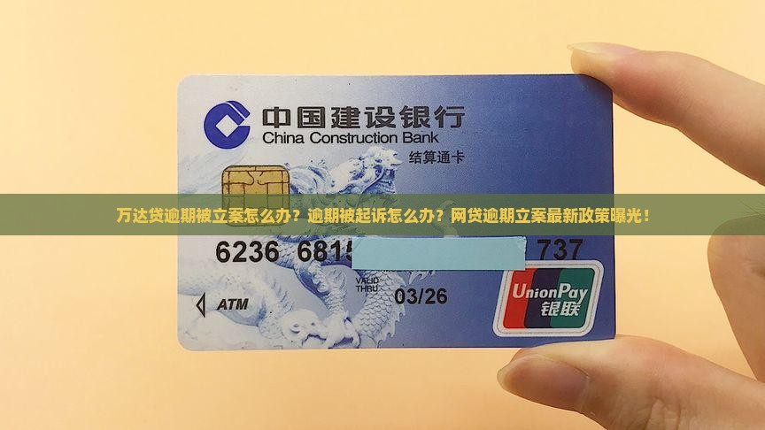 万达贷逾期被立案怎么办
