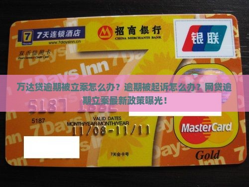 万达贷逾期被立案怎么办
