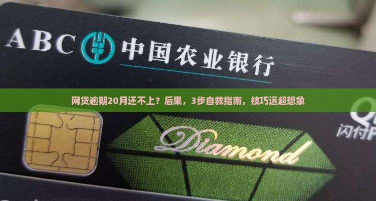 网贷逾期20月还不上