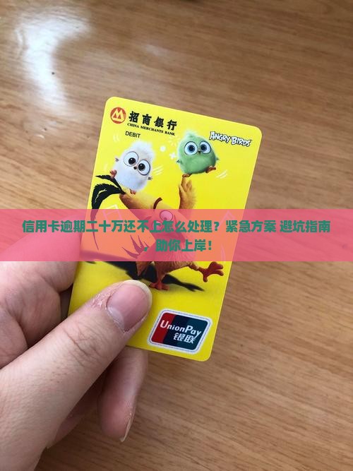 信用卡逾期二十万还不上怎么处理