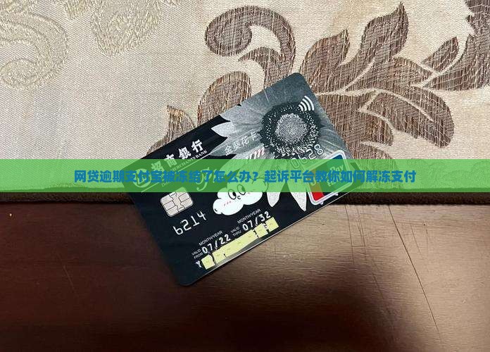网贷逾期支付宝被冻结了怎么办？起诉平台教你如何解冻支付