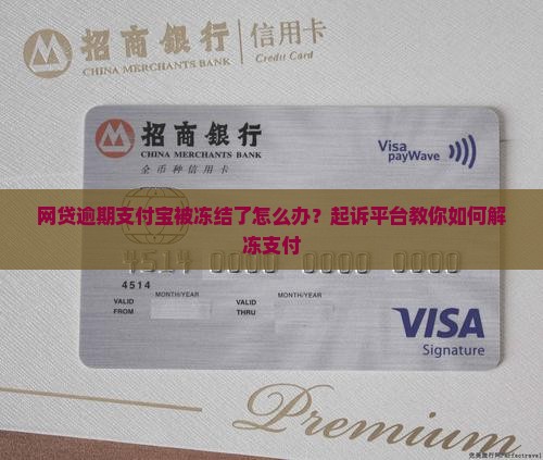 网贷逾期支付宝被冻结了怎么办？起诉平台教你如何解冻支付