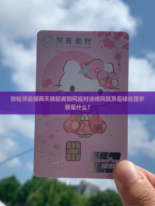 微粒贷逾期两天被起爽如何应对法律风险及后续处理步骤是什么？