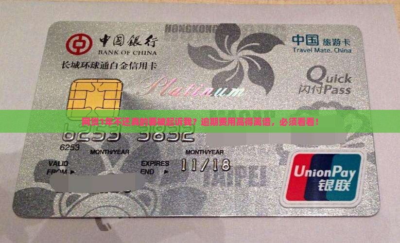 网贷1年不还真的要被起诉我？逾期费用高得离谱，必须看看！