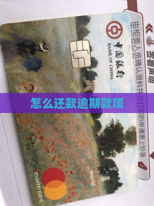 怎么还款逾期款项