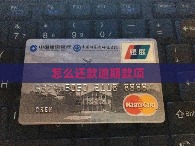 怎么还款逾期款项