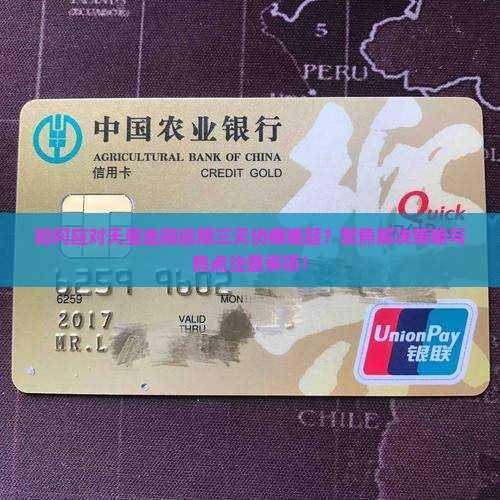 如何应对天星金融逾期三天协商难题？聚焦解决策略与热点注意事项！