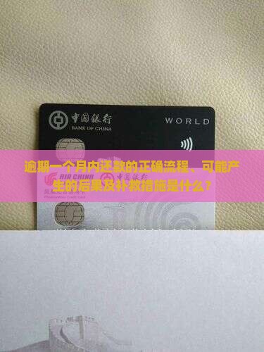 逾期一个月内还款的正确流程、可能产生的后果及补救措施是什么？
