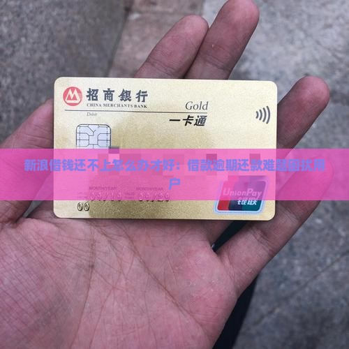 新浪借钱还不上怎么办才好：借款逾期还款难题困扰用户