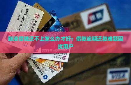 新浪借钱还不上怎么办才好：借款逾期还款难题困扰用户