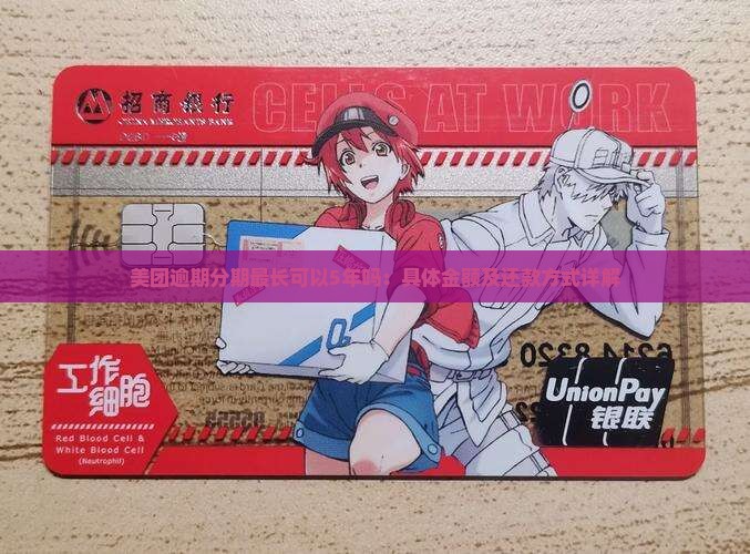 美团逾期分期最长可以5年吗：具体金额及还款方式详解