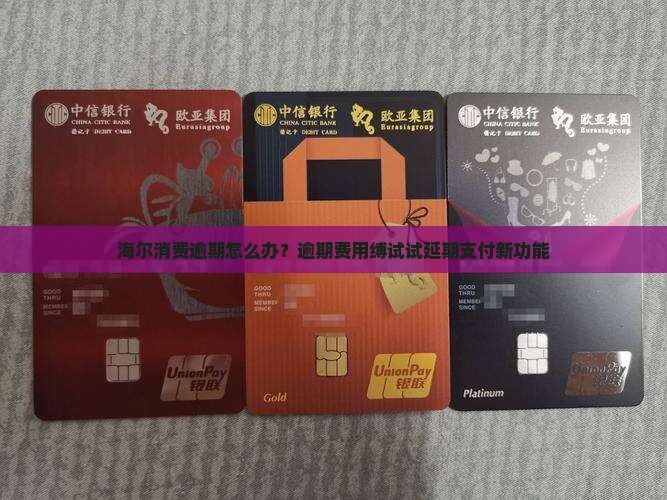 海尔消费逾期怎么办？逾期费用缚试试延期支付新功能