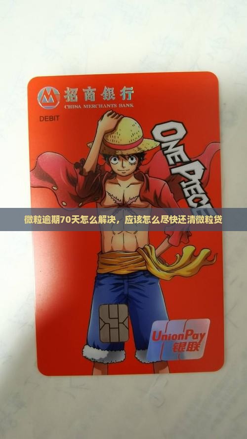 微粒逾期70天怎么解决，应该怎么尽快还清微粒贷