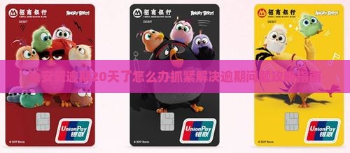 众安贷逾期20天了怎么办抓紧解决逾期问题攻略指南