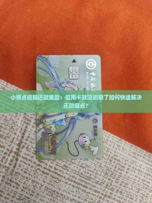 小雨点逾期还款难题：信用卡款项逾期了如何快速解决还款痛点？