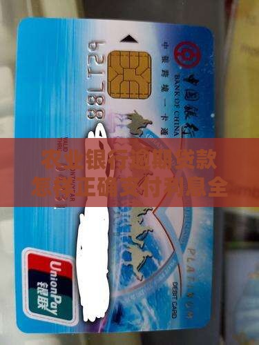 农业银行逾期贷款怎样正确支付利息全攻略
