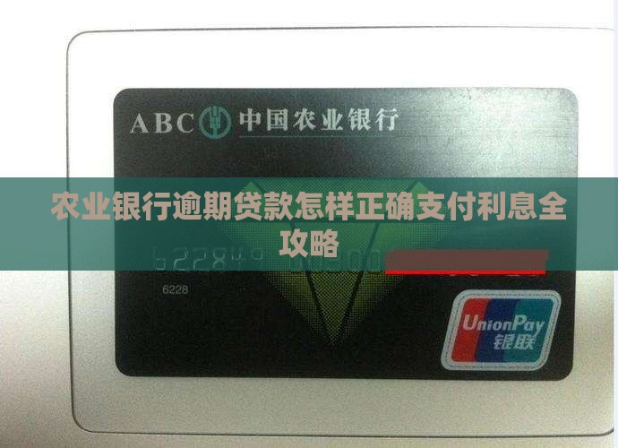 农业银行逾期贷款怎样正确支付利息全攻略