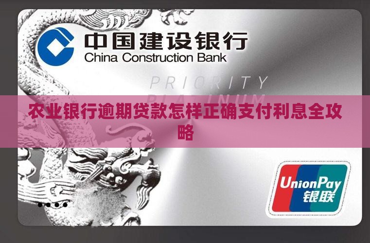 农业银行逾期贷款怎样正确支付利息全攻略
