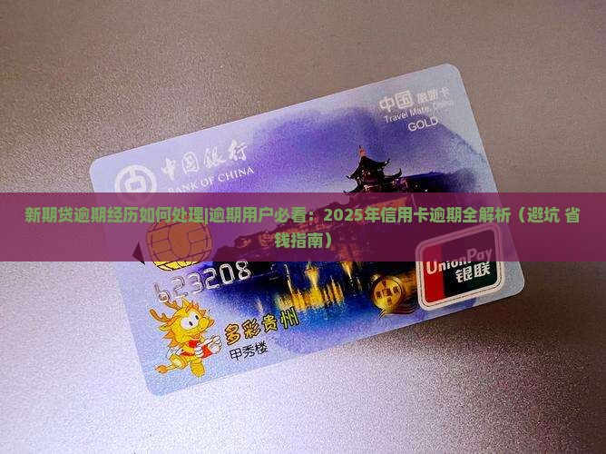 新期贷逾期经历如何处理