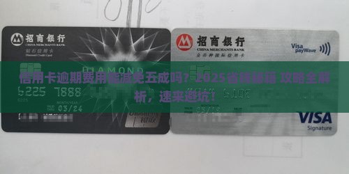 信用卡逾期费用减免百分之五的方法和要求