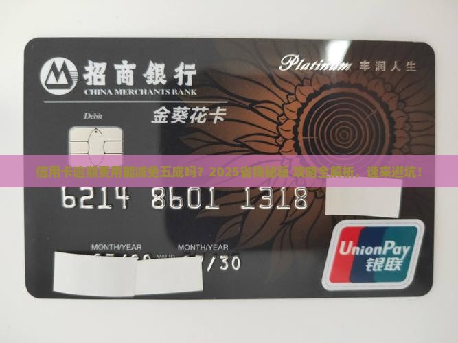 信用卡逾期费用减免百分之五的方法和要求