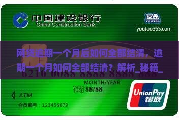 网贷逾期一个月后如何全部结清