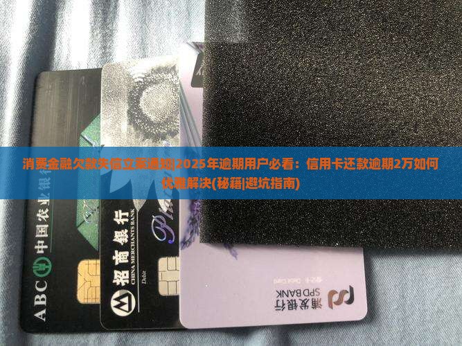 消费金融欠款失信立案通知