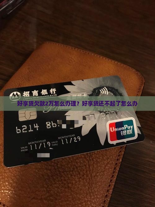 好享贷欠款2万怎么办