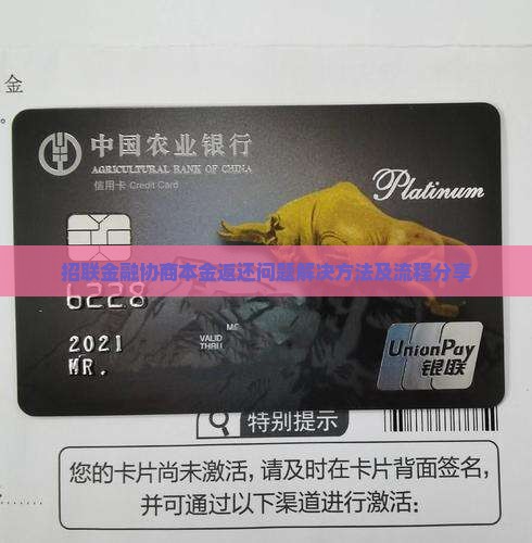 网贷金融协商本金返还问题解决方法