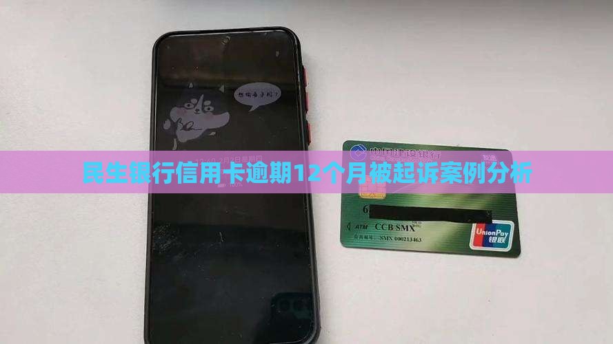 民生银行逾期12个月起诉案例