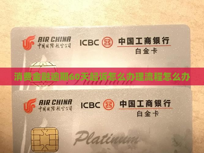 消费金融逾期60天起诉怎么办理