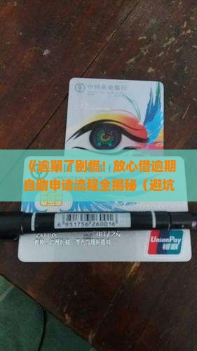 放心借逾期自助申请流程详解