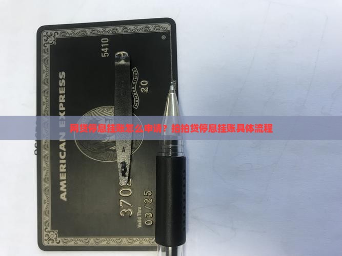 拍拍贷网贷停息挂账的具体方法和流程