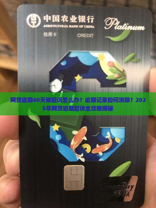 网贷逾期40天说起诉我