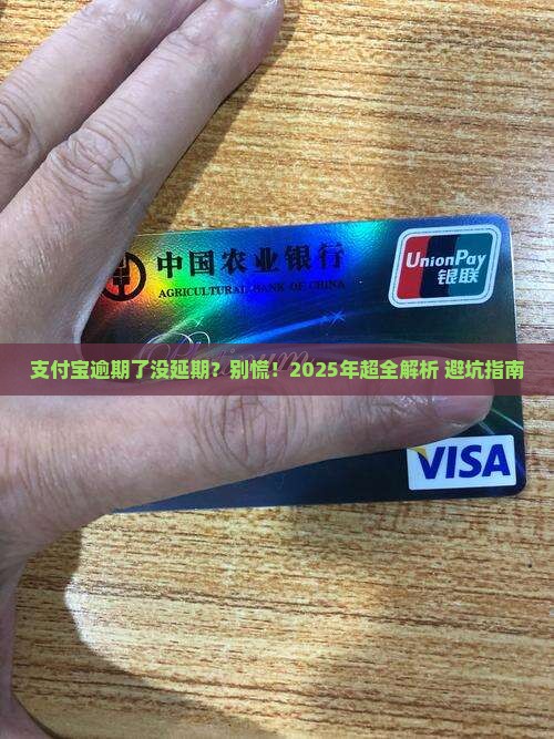 支付宝逾期怎么办没有延期