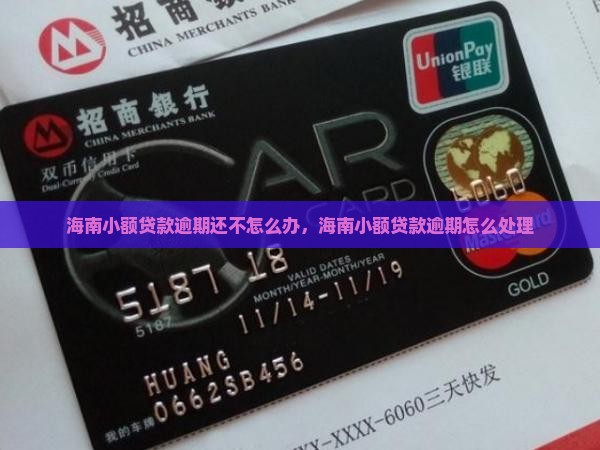 海南小额贷款逾期怎么办
